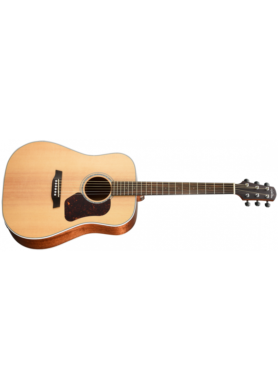 walden d740e kitarr 1