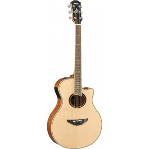 western guitar wel. natural apx700ii
