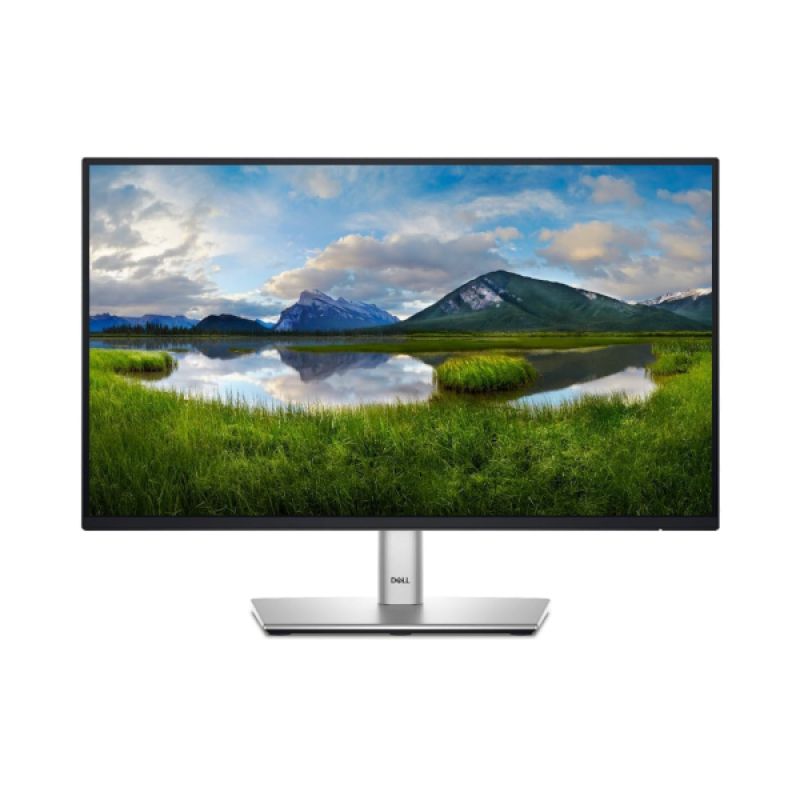 Dell Professional P2422HE - Image 1