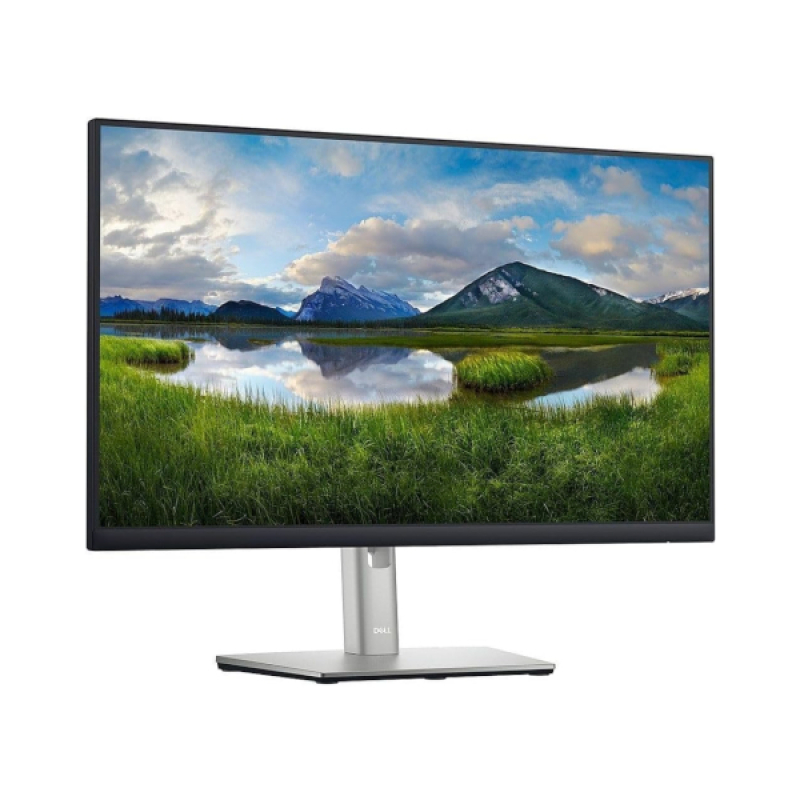 Dell Professional P2422HE - Image 4