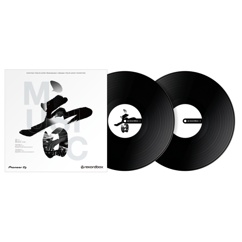 Pioneer DJ - RB-VD2-K control vinyl (Black)