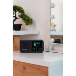 Blaupunkt DR8BK - Image 3