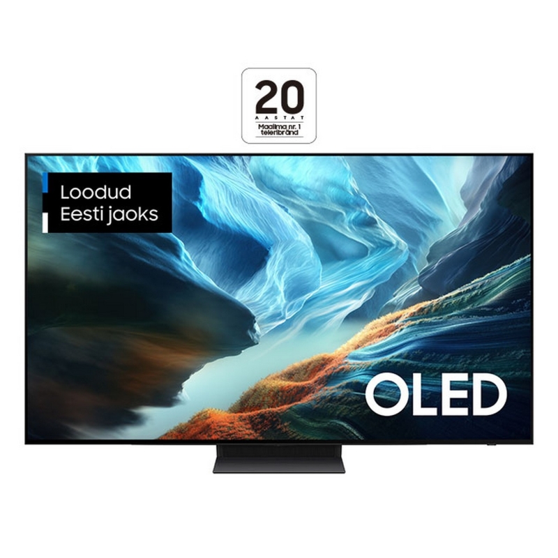 Samsung QE65S90HAEXXH 4K OLED